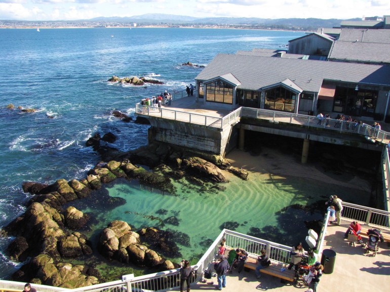 MontereyBayAquarium