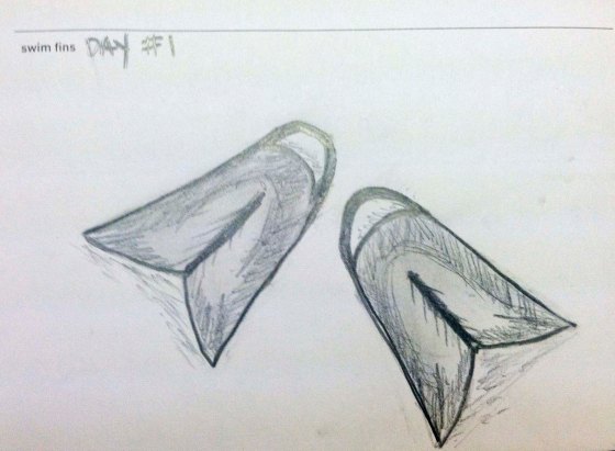 Day 1 : Swim Fins