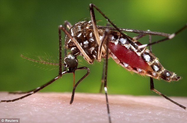 chikungunya