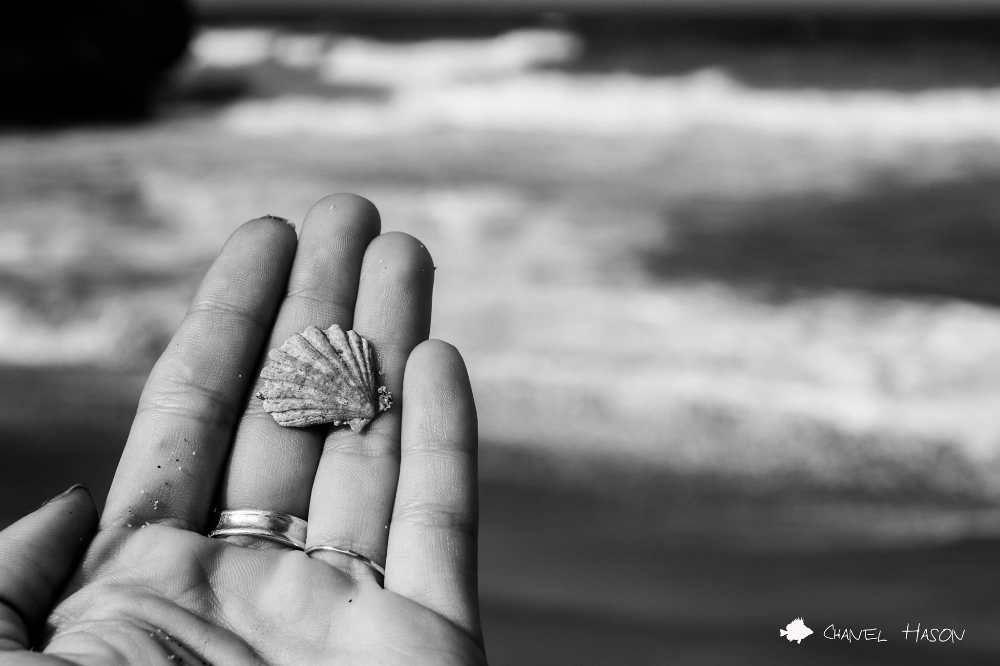 10926304_747828035300_1003438577794428204_o